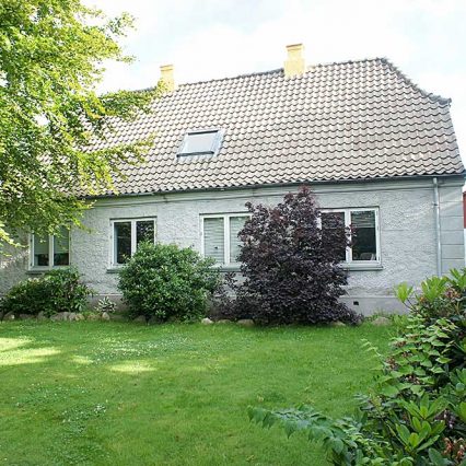 Kig fra haven før